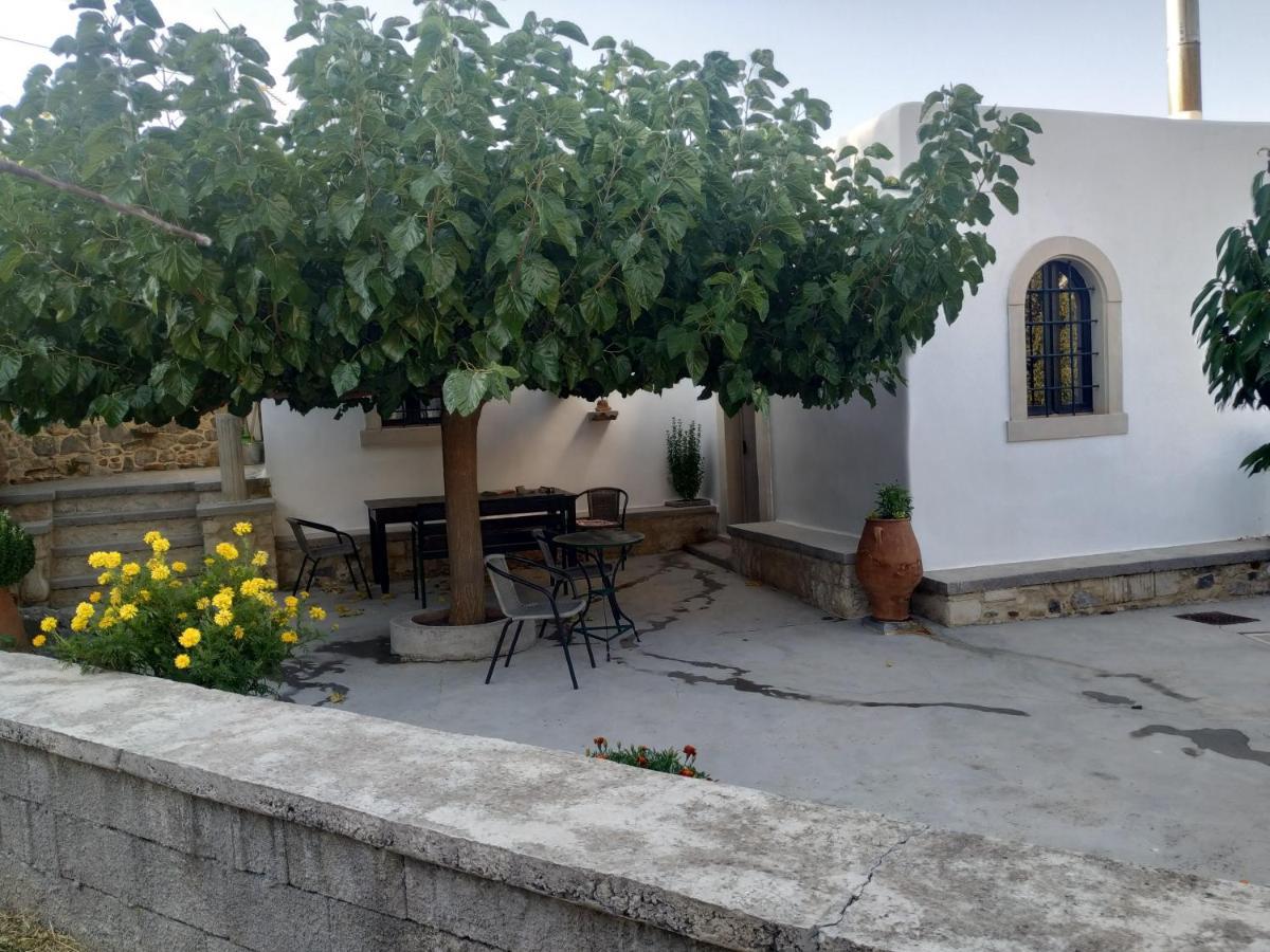 Xenios Z Rustic Rural Cottage Karidi Bagian luar foto